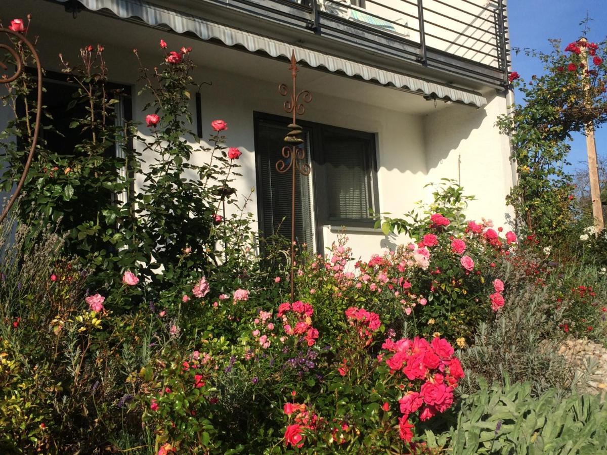 Apartment Gaestehaus Maria Rettenbach am Auerberg Dış mekan fotoğraf